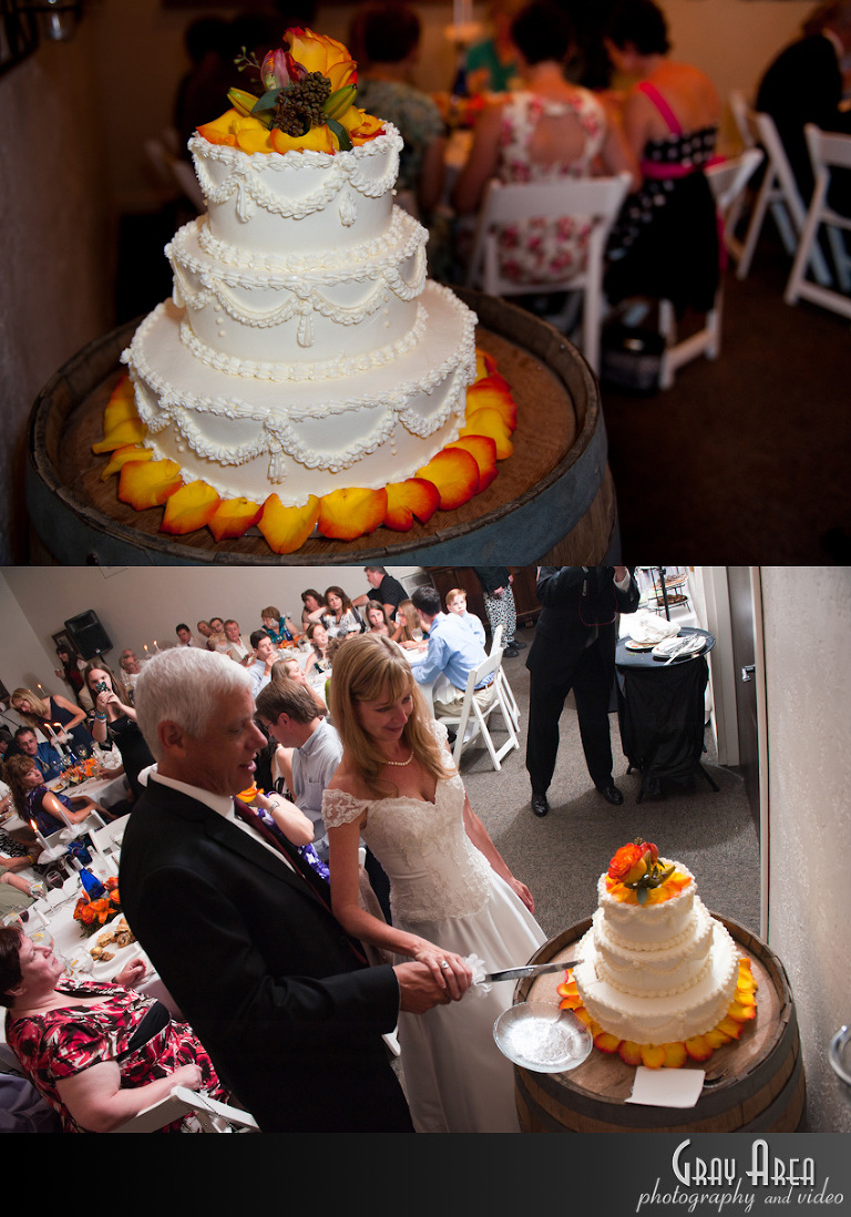 leesburg_purcellville_winchester_middleburg_ashburn_brambleton_broadlands_belmont_va_wedding_photographer