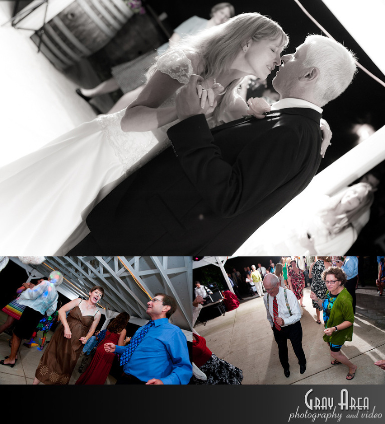 leesburg_purcellville_winchester_middleburg_ashburn_brambleton_broadlands_belmont_va_wedding_photographer