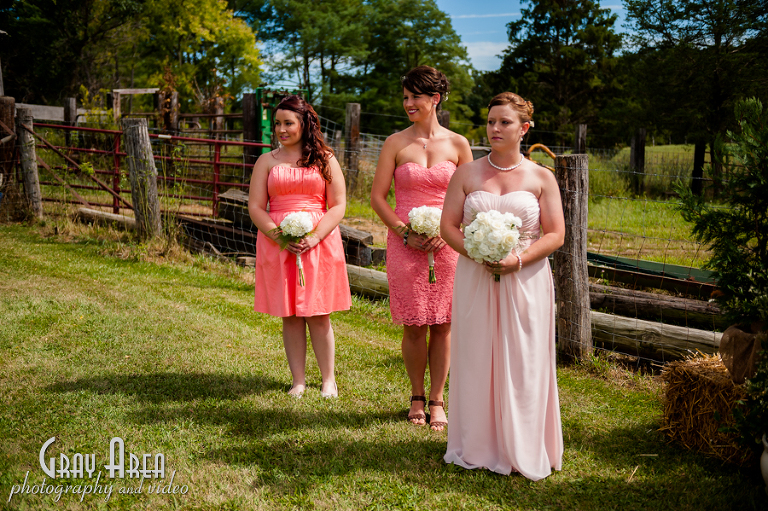 martinsburg-wv-winchester-front-royal-shenandoah-va-wedding-photographer