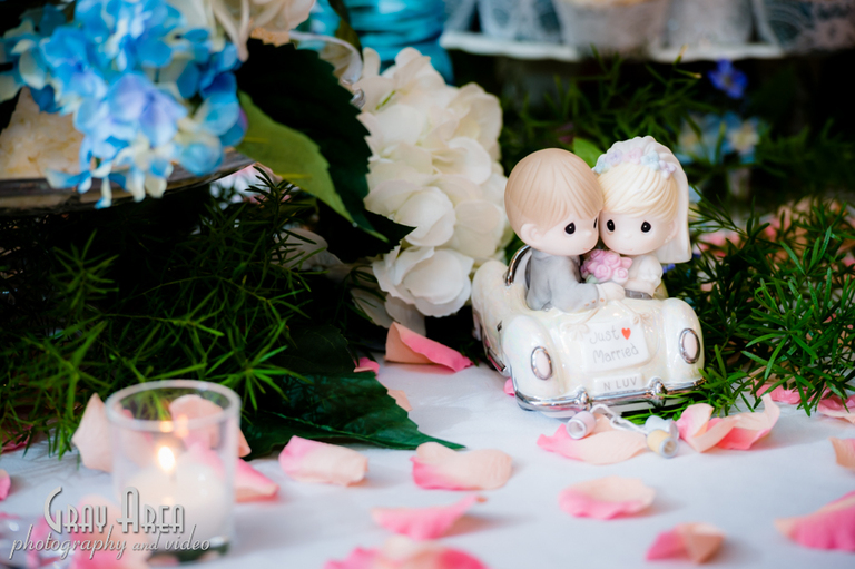 martinsburg-wv-winchester-front-royal-shenandoah-va-wedding-photographer