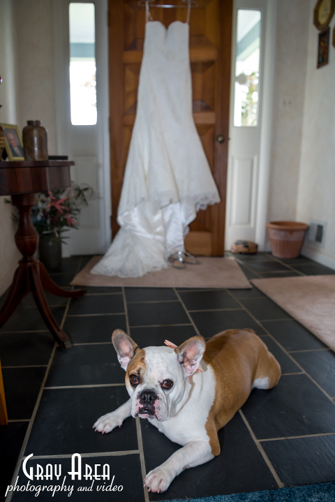 Wedding Photographer in Shenandoah Valley